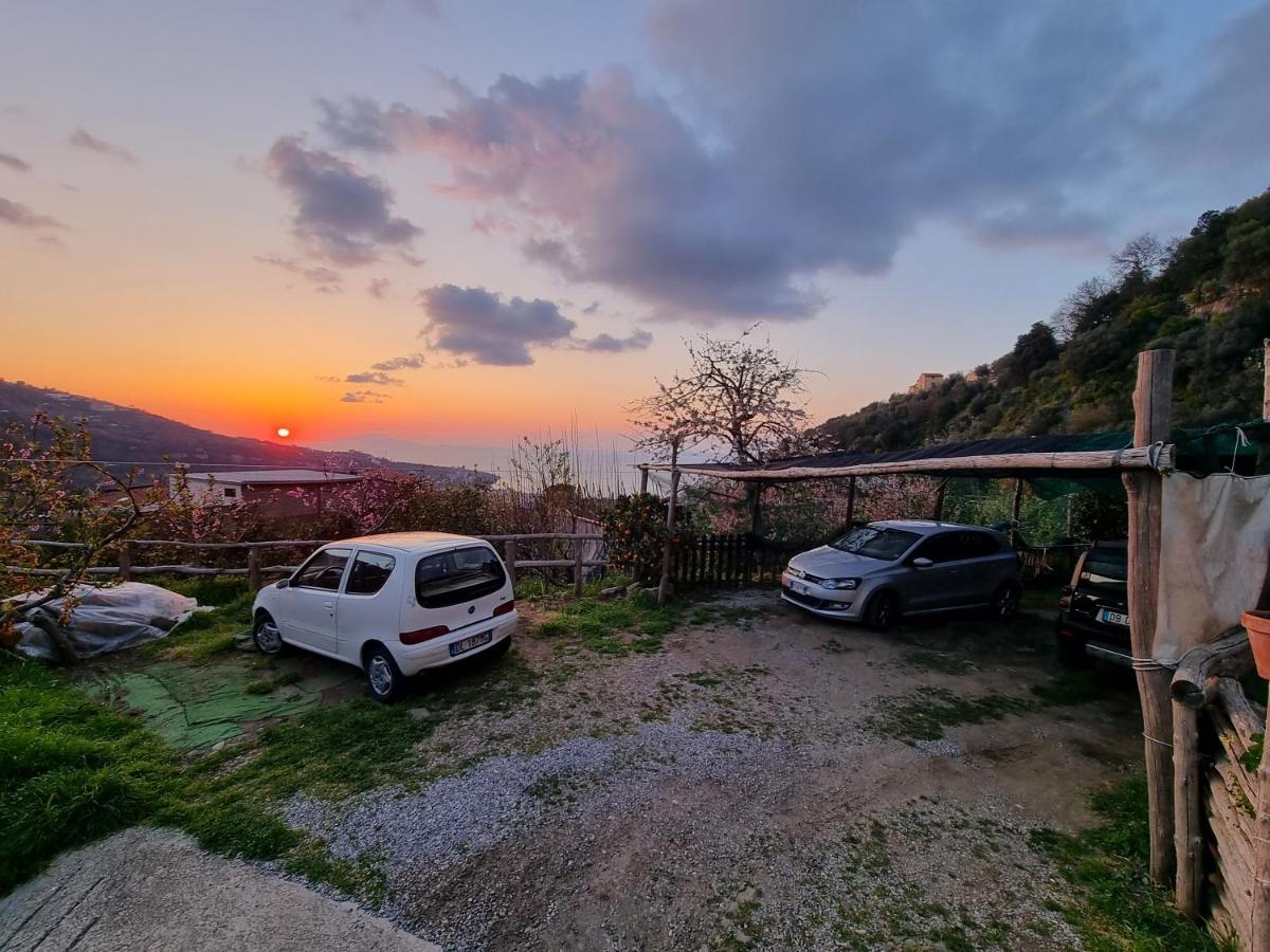 Nanninella Hh Apartment Sorrento Luaran gambar